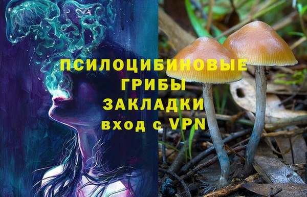 тгк Алексин