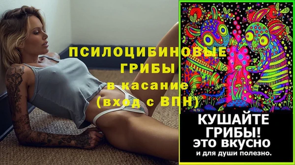 прущий лед Алзамай