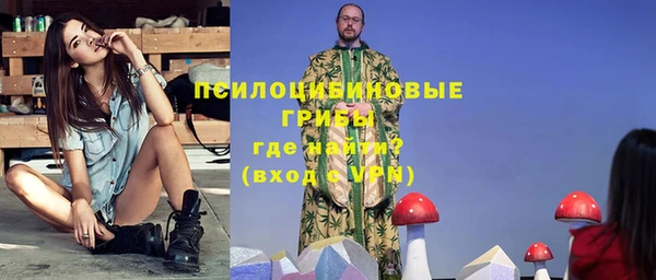 тгк Алексин