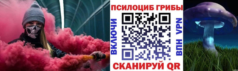 Псилоцибиновые грибы GOLDEN TEACHER  Дудинка 